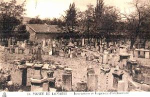 ALGERIE-RUINES ROMAINES DE LAMBESE (60)